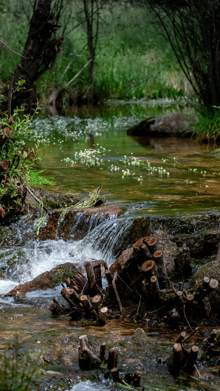 Pesuvahendi jäägid riietel: miks tekivad valged plekid ja kuidas neid vältida
